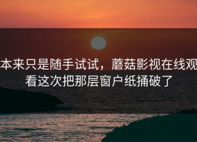 本来只是随手试试，蘑菇影视在线观看这次把那层窗户纸捅破了