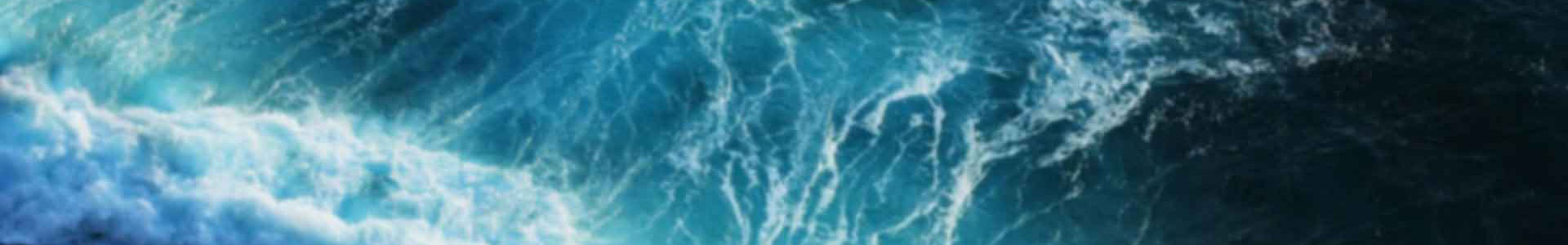 蘑菇短视频高清版