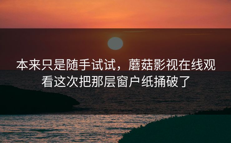 本来只是随手试试，蘑菇影视在线观看这次把那层窗户纸捅破了